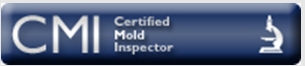 basement ceiling mold removal and inspection being executed in Morrisville Pennsylvania residence