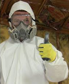 PA Mold Testing 