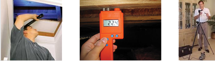 residential crawl space closet bathroom mold inspection with testing Chadds Ford PA 19317